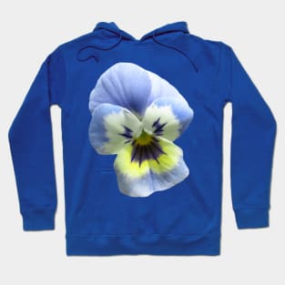 blue pansy flower, pansies, violets, bloom, viola Hoodie